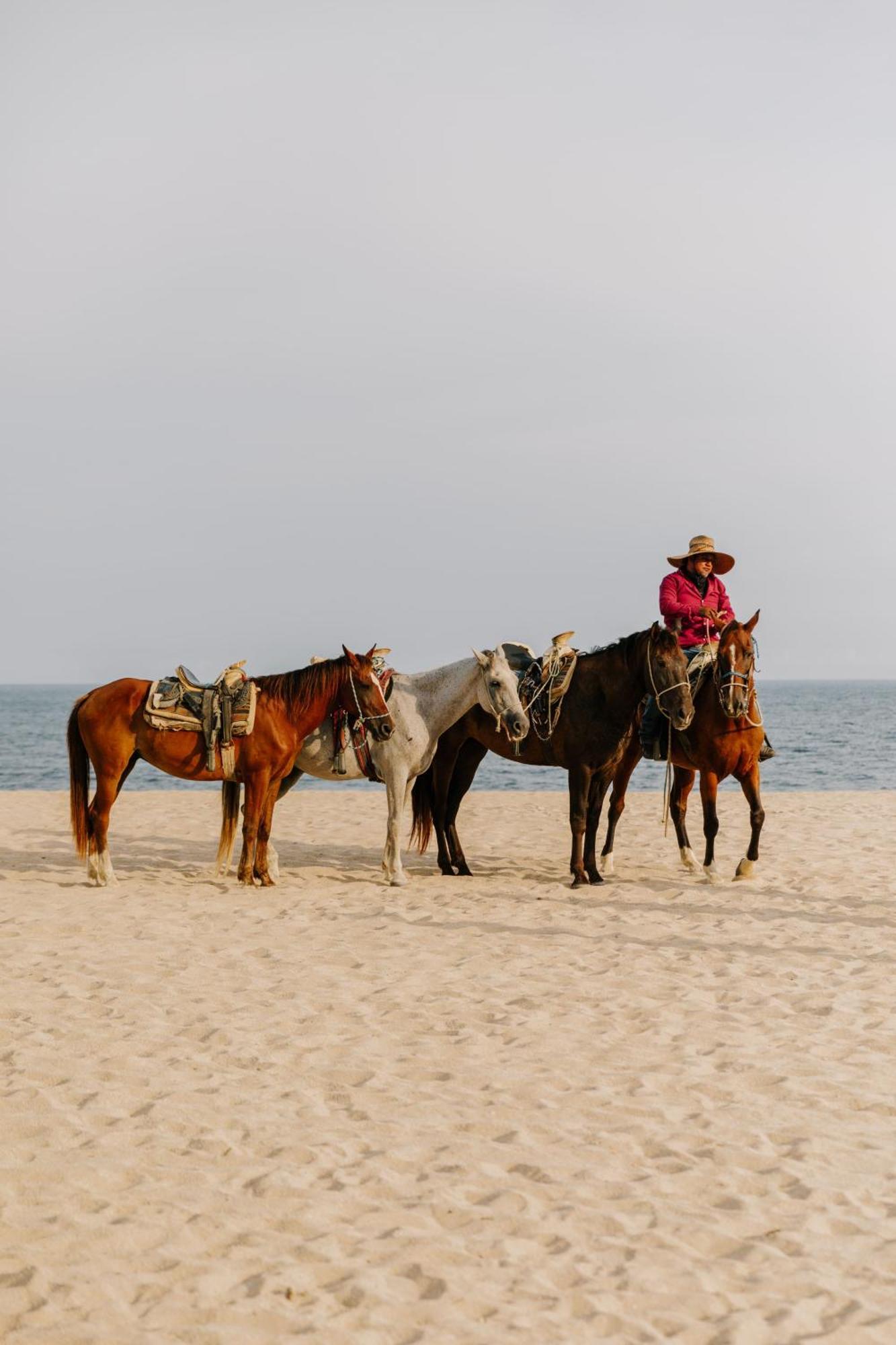 Viceroy Cabos